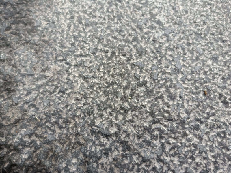 中國黑荔枝面